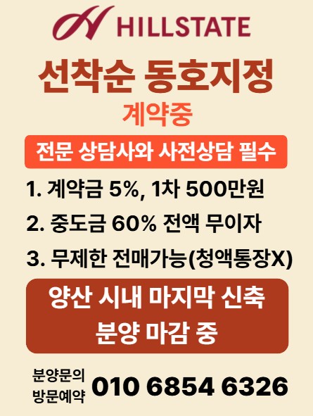 힐스테이트 양산더스카이 동호수 선착순 지정