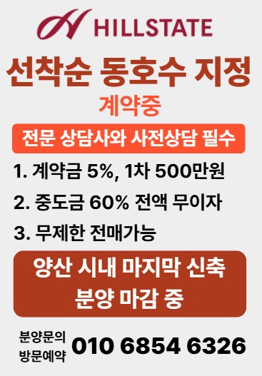 힐스테이트 양산더스카이 선착순 동호지정